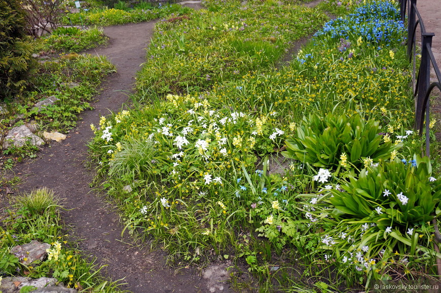 На прогулку в петербургский Ботанический сад. В ожидании Весны