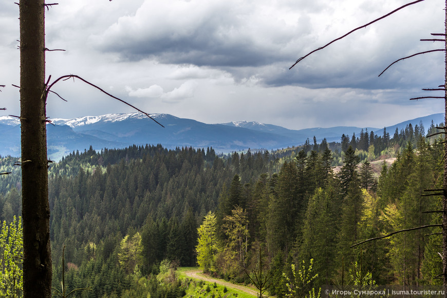 The Carpathians