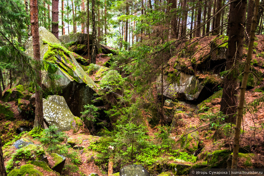 The Carpathians