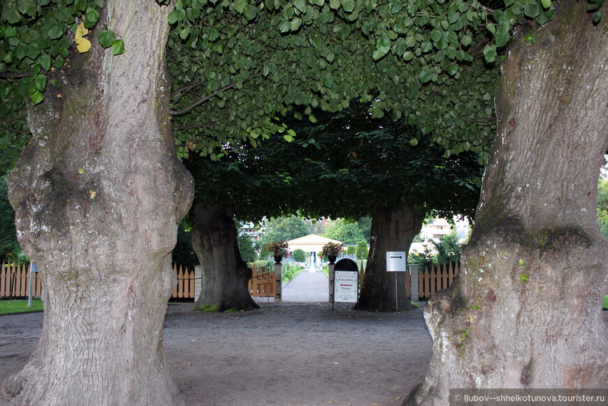 Сад Линнея (швед. Linnéträdgården)