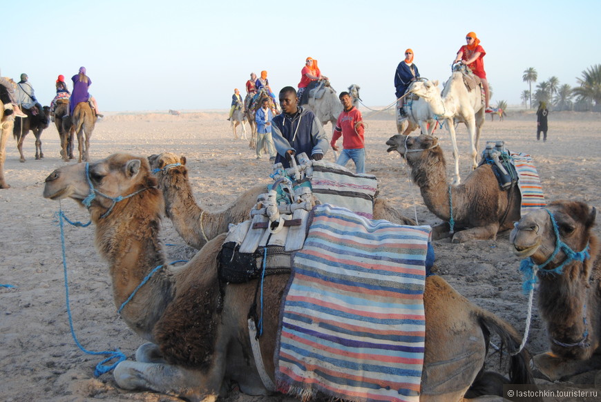 Как дела, Сахара? Самая популярная экскурсия Туниса. Первый день                                         