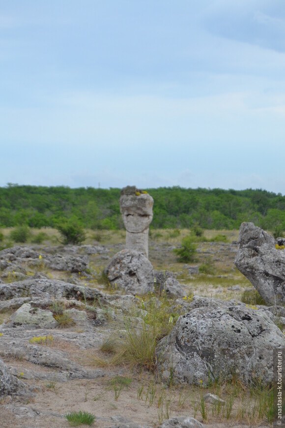 Розовая Болгария