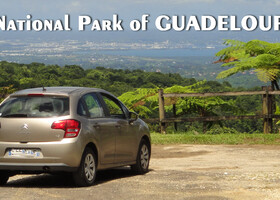 Национальный парк о.Гваделупа