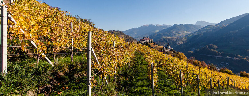 Дегустация вина в Южном Тироле, Италия.