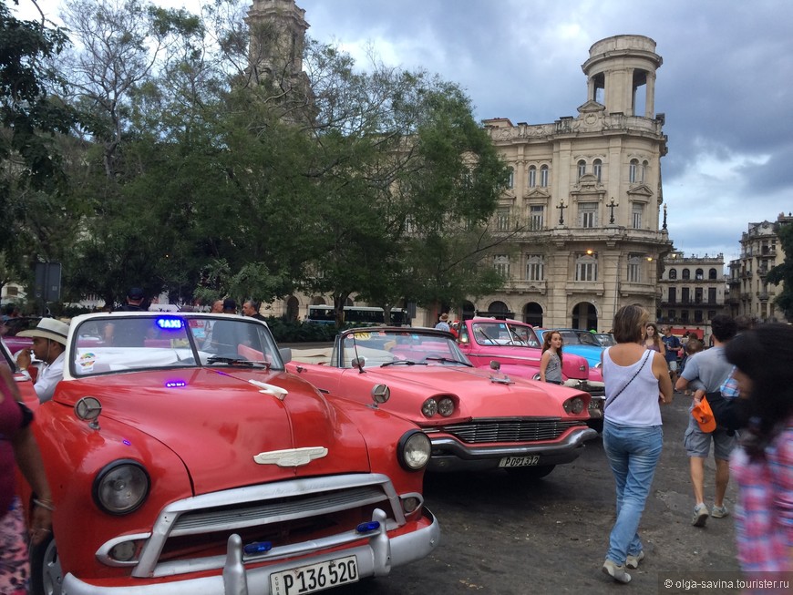 Куба: сладкая и свободная