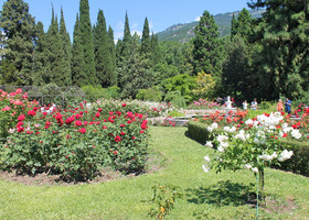 Никитский сад, бал роз