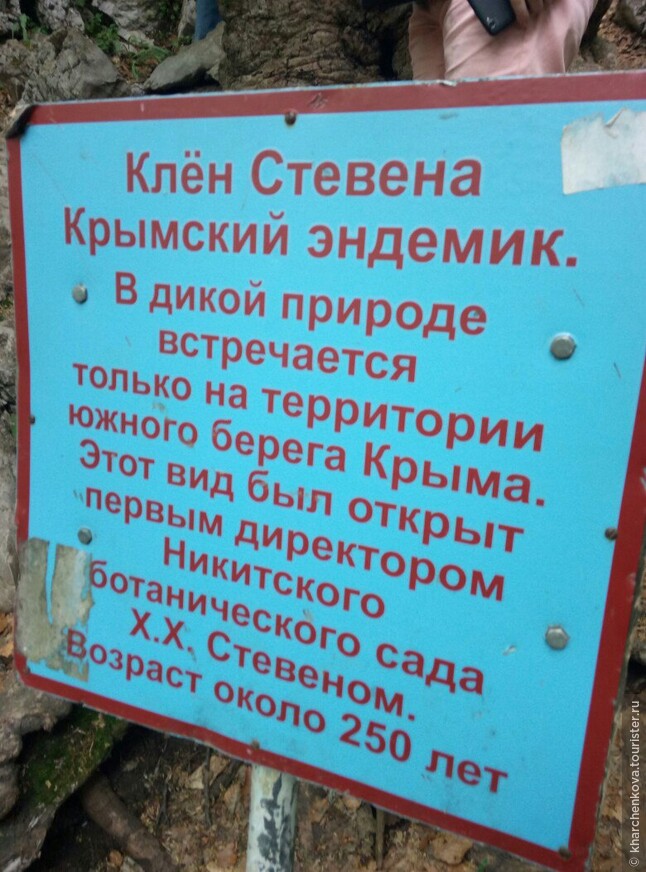 Выходные в Крыму