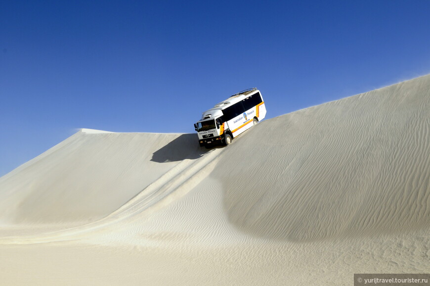 Автобусный слалом на песчаных дюнах Австралии