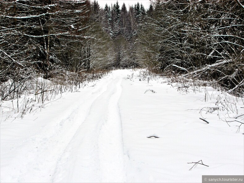 Звенигородский район. 09.12.2012.