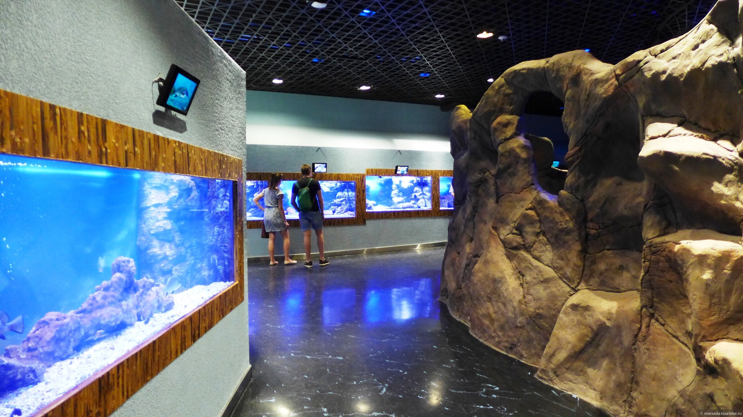 Крокус сити океанариум где. Океанариум Вегас Мякинино. Крокус аквариум. Аквариум Вегас Крокус Сити. Океанариум в ТЦ Вегас.