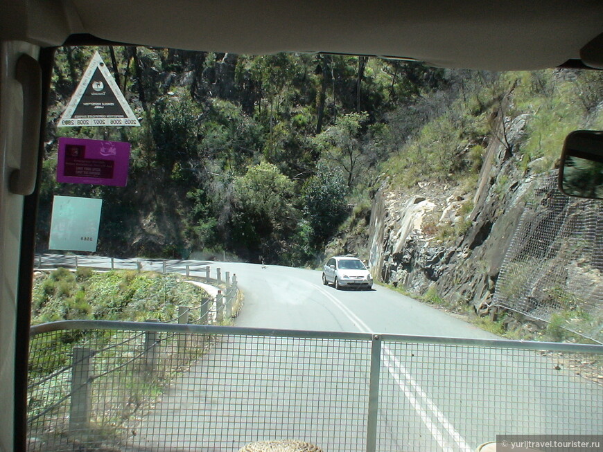 На дороге Тасмании. Многие машины имеют решетки, которые защищают машину от животных