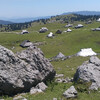 Велика Планина, Камницкие Альпы, Словения