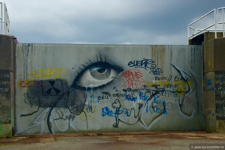 Живые граффити Дойла живут своей жизнью