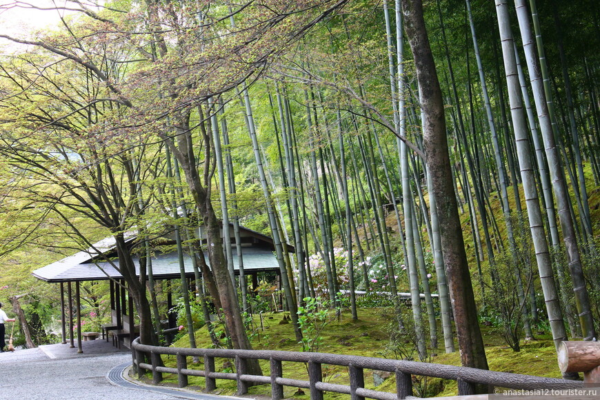Киото и окрестности