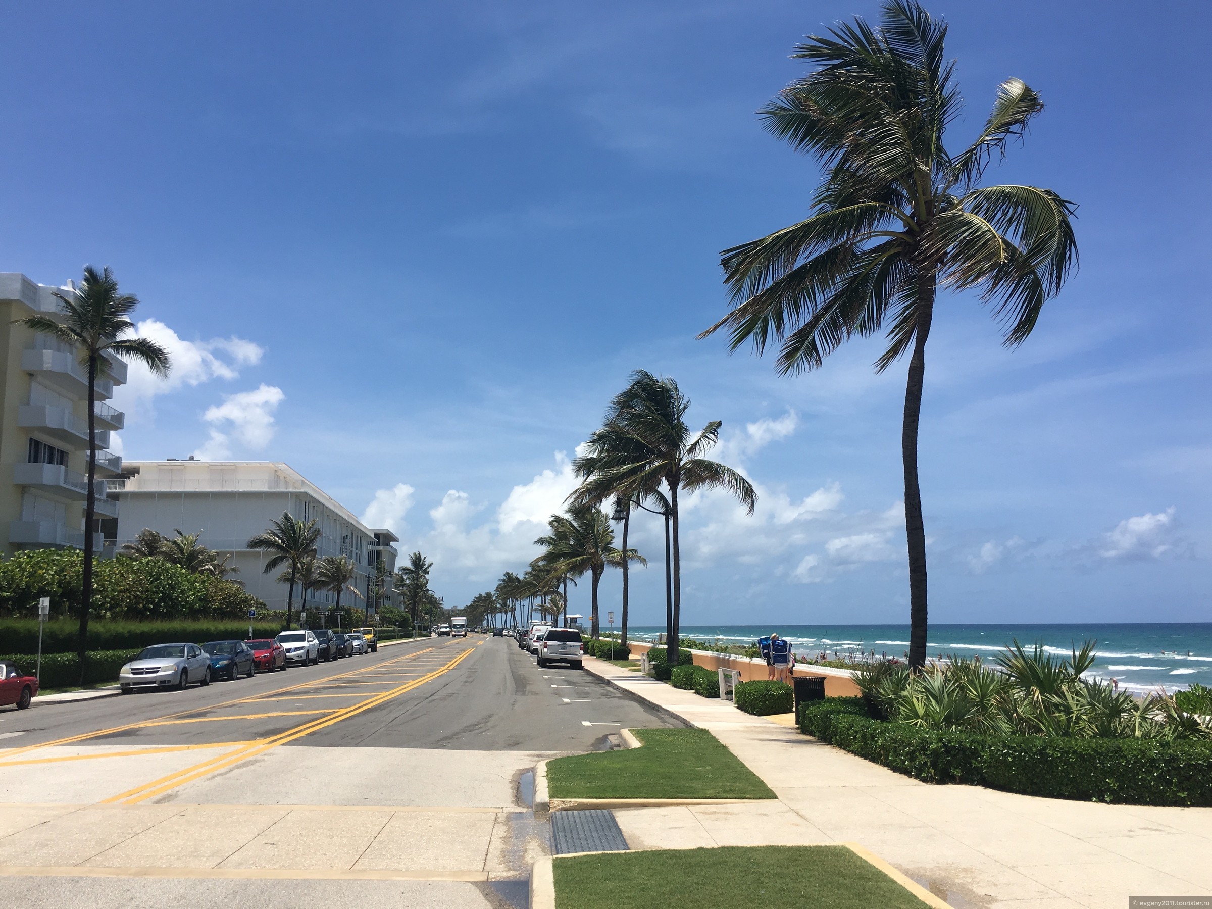 Escorts In West Palm Beach