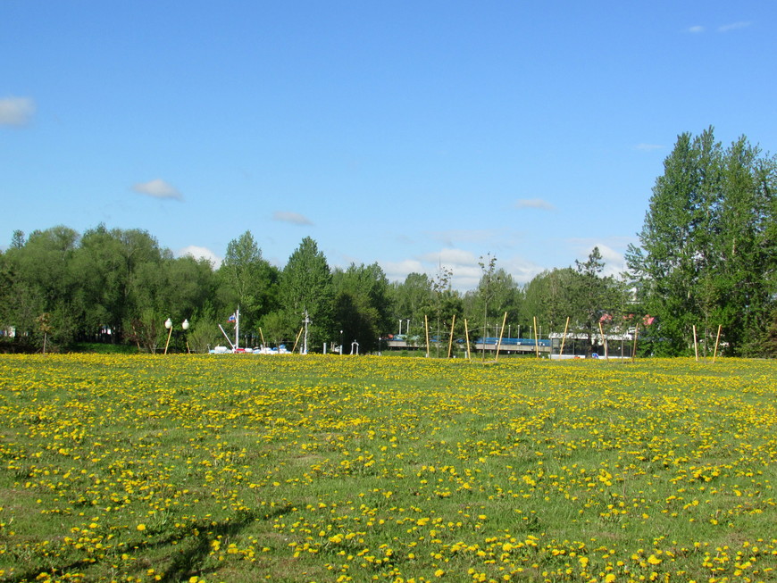 День города – 2017 (Ярославль, 27.05.2017)