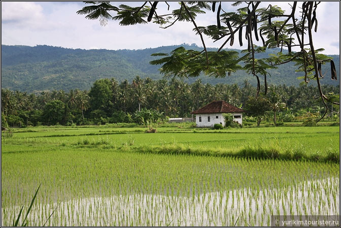 Бали: пересекая рай
