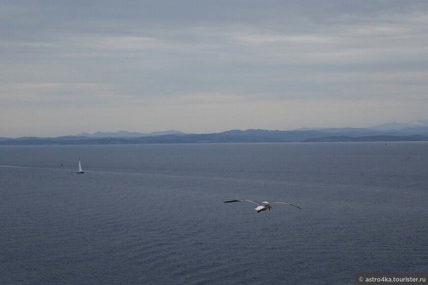 Прекрасно видна Сардиния в 12 километрах, утром она была в дымке.