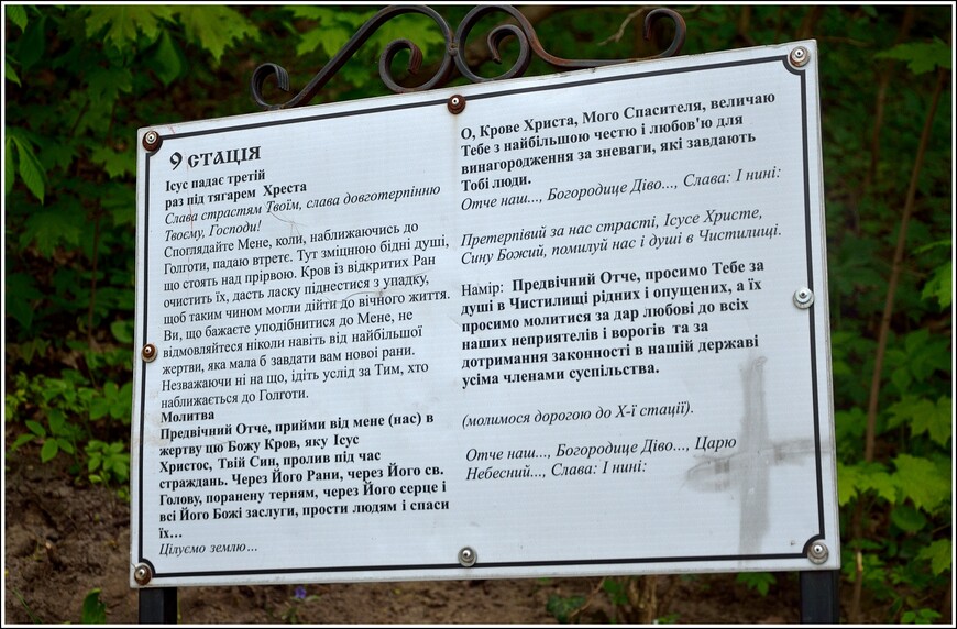 Ратуша и Копец - на смотровых площадках Львова