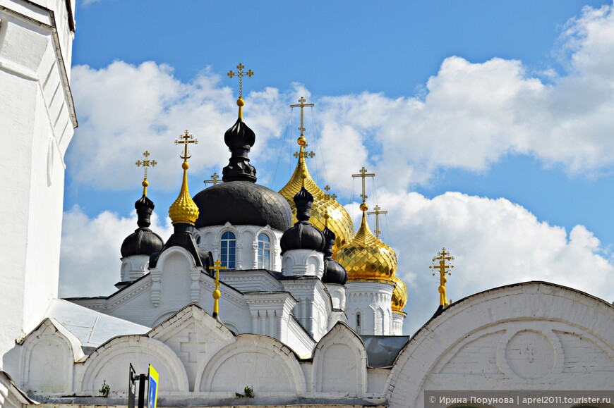 Купола Богоявленско-Анастасииного монастыря