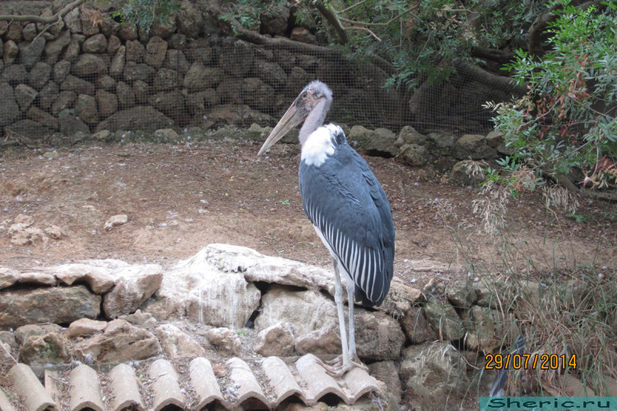 Зоопарк ZOO natura Parc. Испания. Майорка