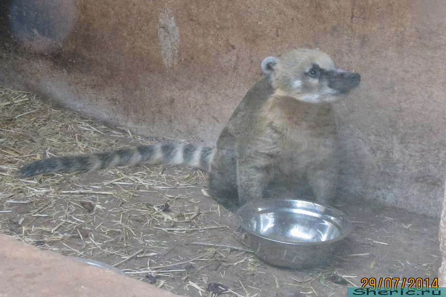 Зоопарк ZOO natura Parc. Испания. Майорка