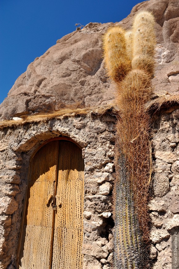 дверь сделана из ствола кактуса