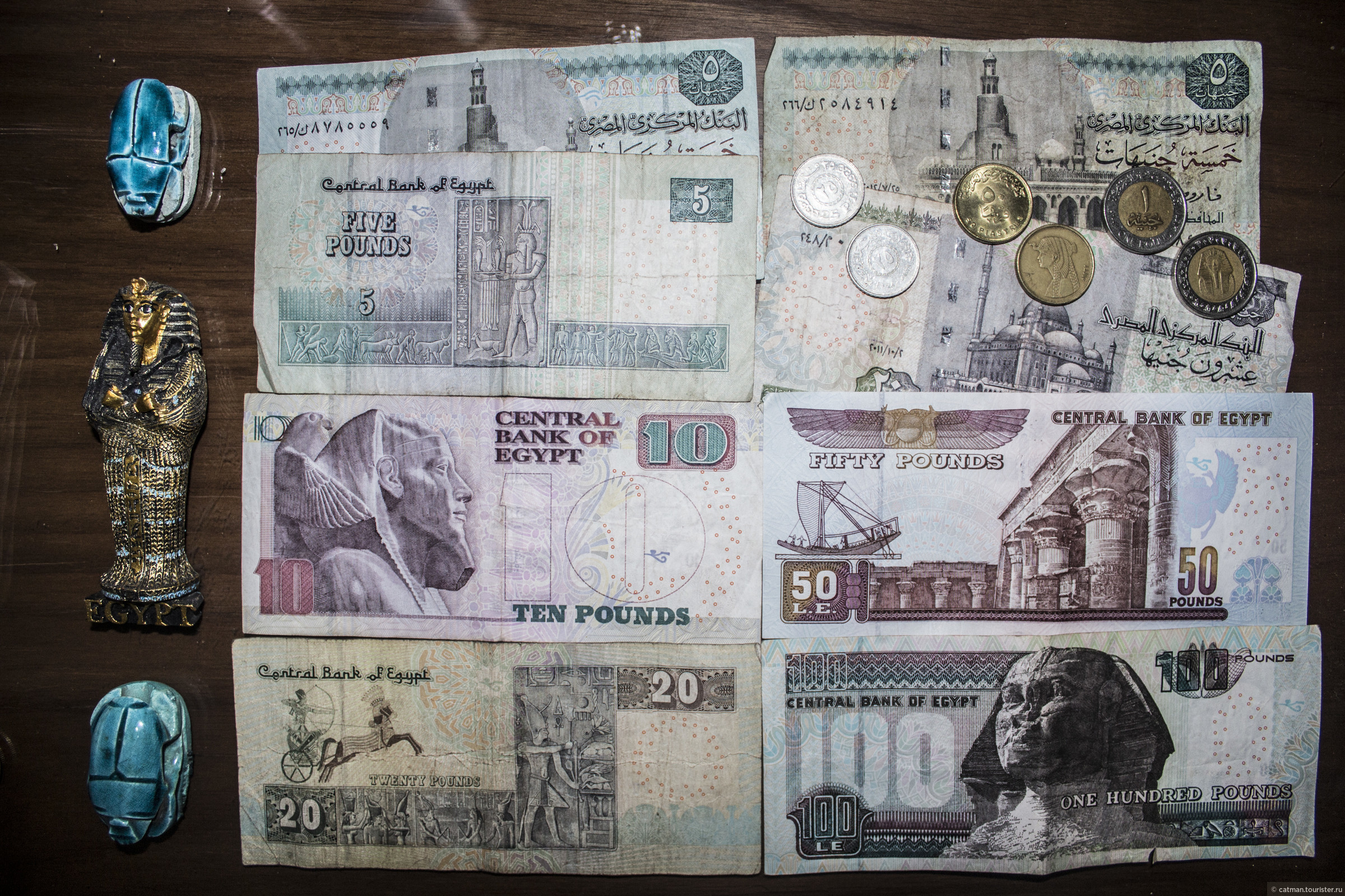 Современные деньги египта
