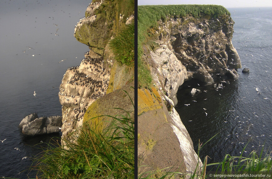 Вид на 40 метровую скалу мыса Терпения с востока (фото слева) и и с запада (фото справа) © Фото: Новопашин С.А., 08.2005