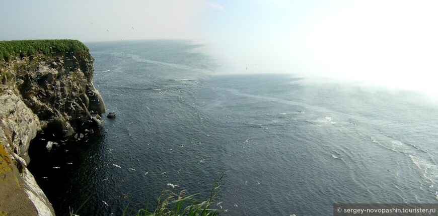 Мыс Терпения. Утренний туман уходит. Место контакта вод Охотского моря и залива Сенявина. © Фото: Новопашин С.А., 08.2005