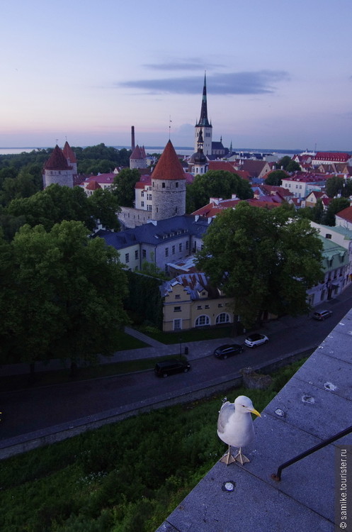 Погружение в Эстонию. Часть 3: Таллин, Палмсе, Лахемаа