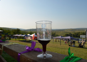 Фестиваль молдавской кухни и вина