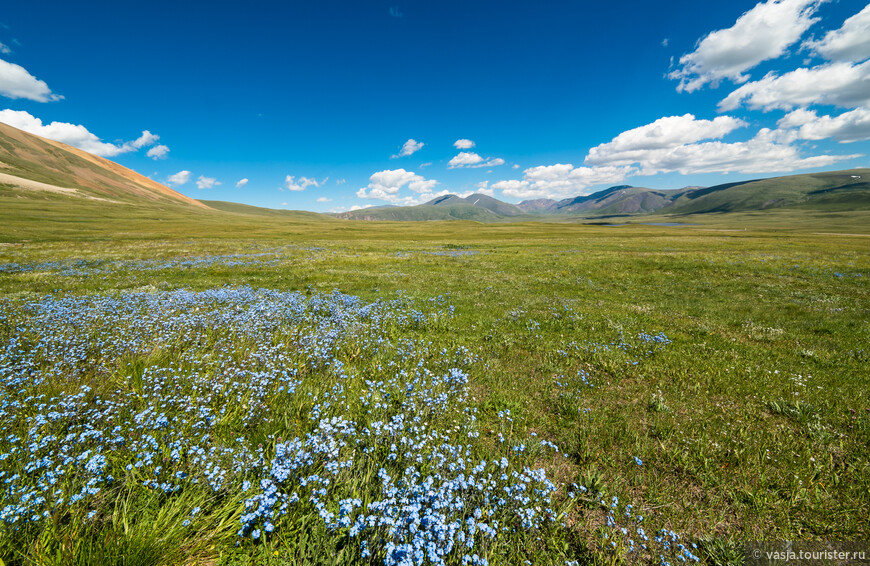 Горный Алтай и Плато Укок