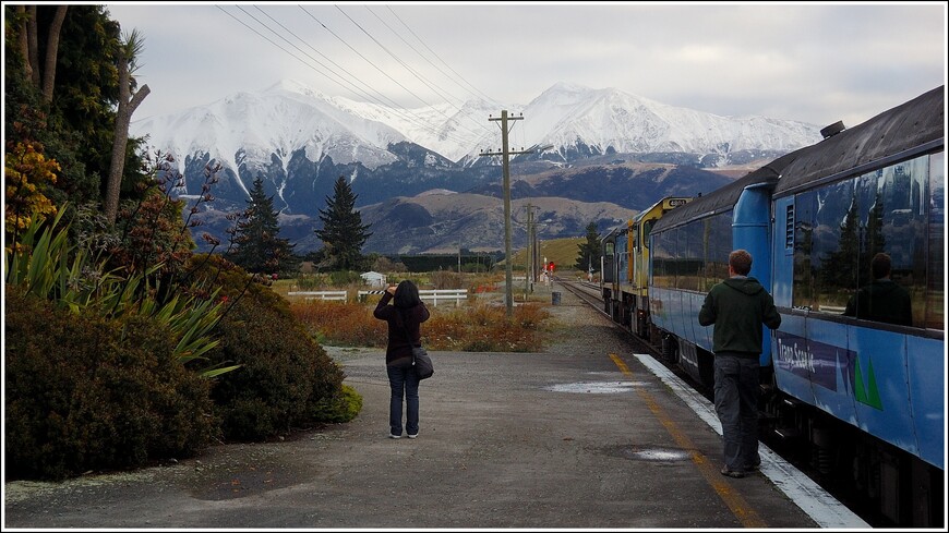 Новая Зеландия! На поезде через Южные Альпы