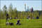 Парк Зарядье, зелень в центре Москвы
