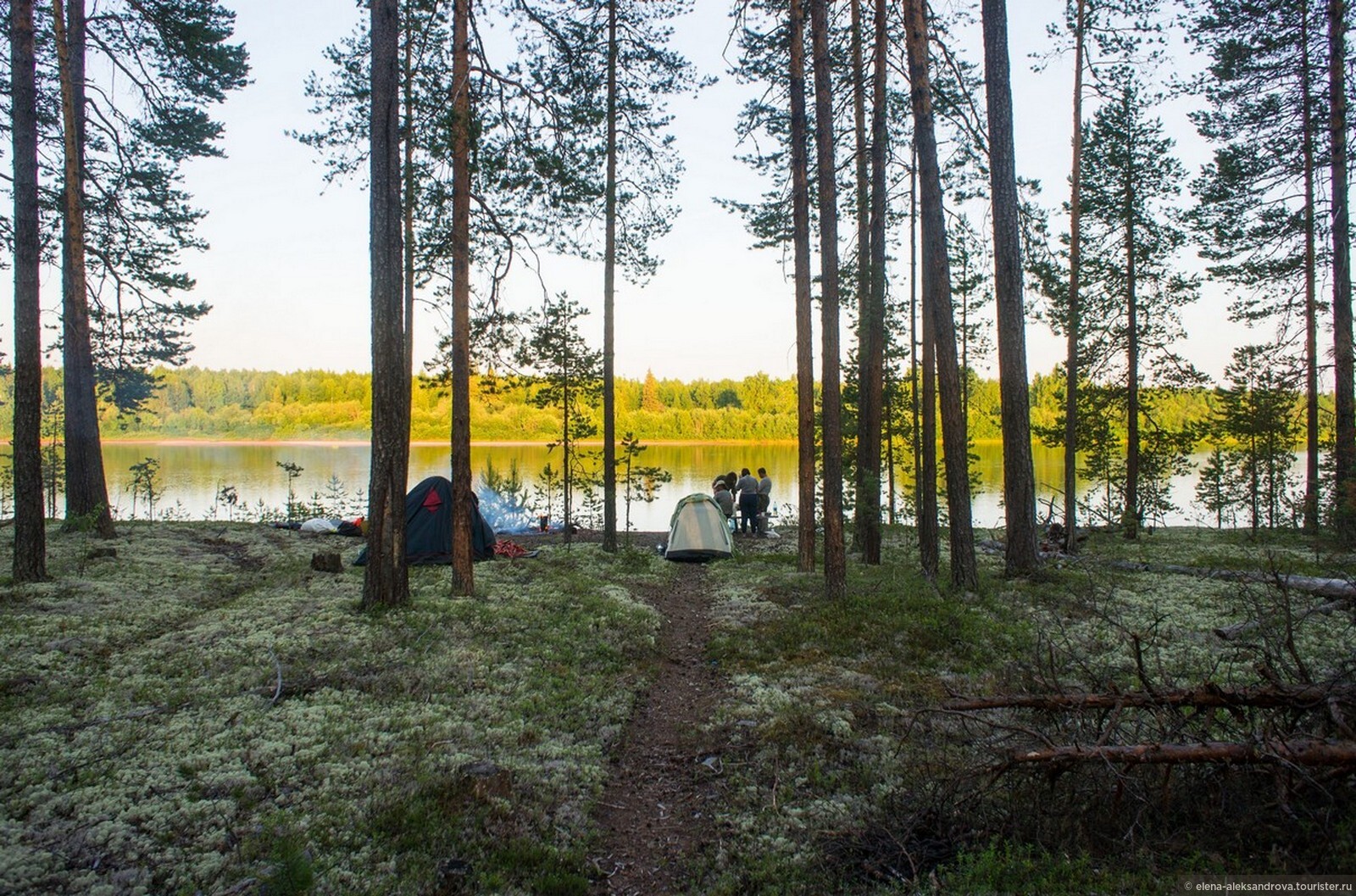 по реке мезень