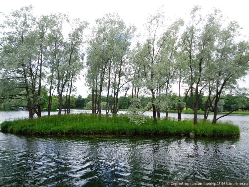 Лучшие в мире на все времена — пригородные дворцы Санкт-Петербурга (Петергоф,Царское Село,Павловск, Гатчина и Ораниенбаум)