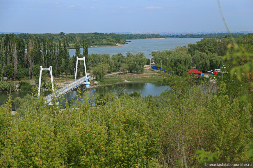 «В славном городе Ростове-на-Дону…»