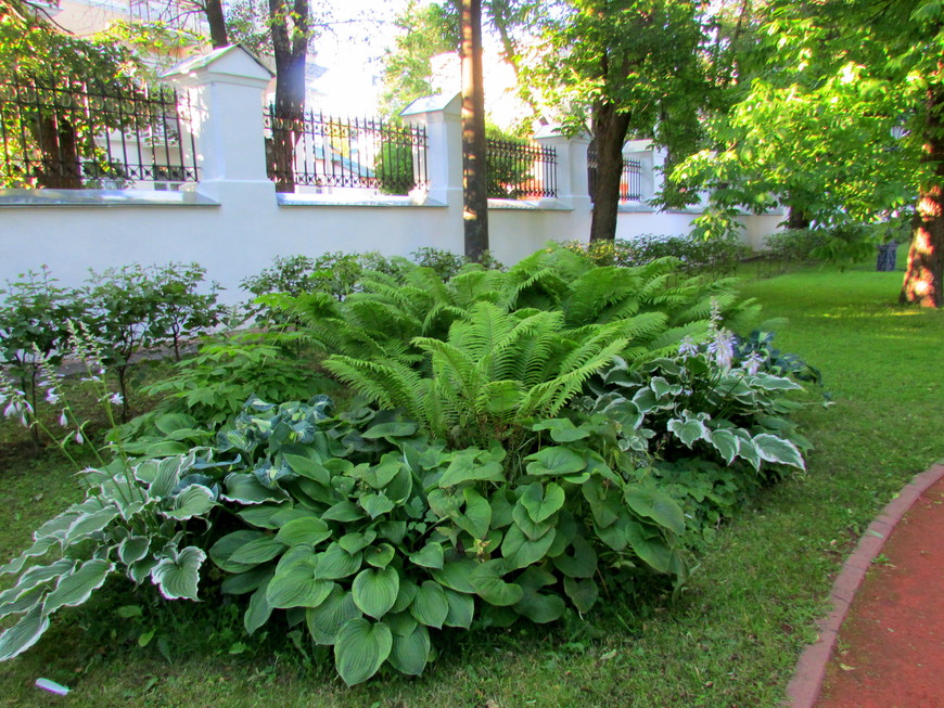 Губернаторский сад. «Скульптура в пленэре» (Ярославль, 21.07.2017)