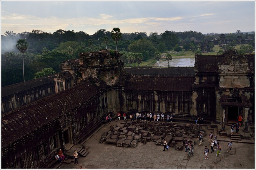 Древний Ангкор и деревья-мутанты