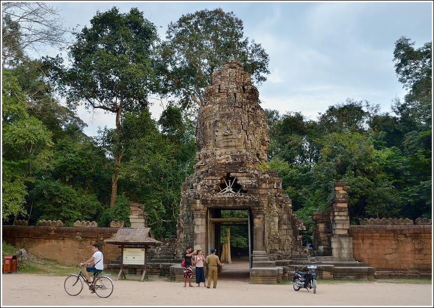 Древний Ангкор и деревья-мутанты