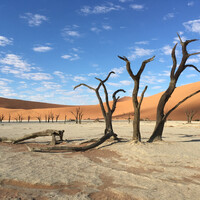 Дюны Намибии