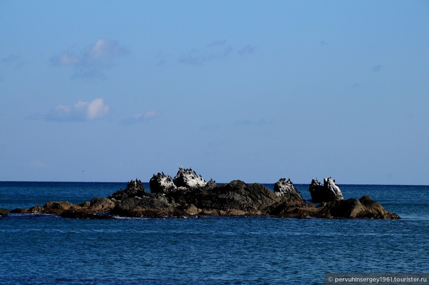 Рифы с бакланами в устье Сиротки