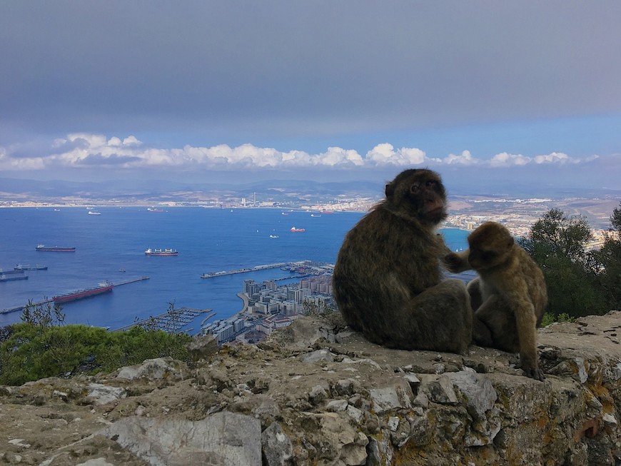 Что, где, когда и как, если вы захотели на пару часов заехать на Гибралтар