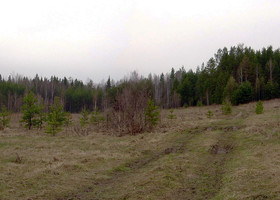 Пейзаж у кордона П.И. Санникова. Фото: Новопашин С.А., 2007