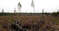 Пейзаж вблизи Копи Князя Мещерского. Фото: Новопашин С.А., 2007