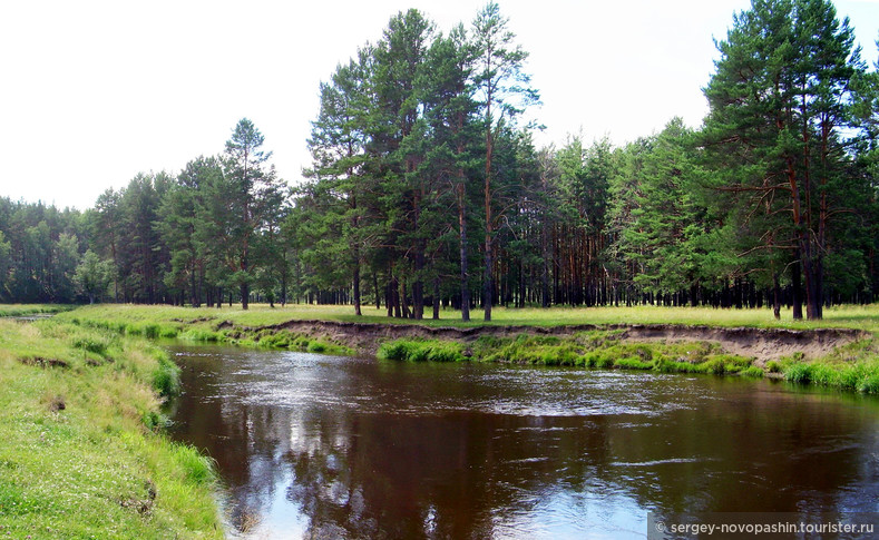 Река Реж, окрестности с.Колташи. Фото: Новопашин С.А., 2006.