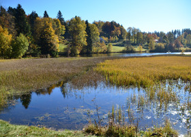 Оказывается, что у болот имеется свой праздник. 2 февраля всемирный день водно-болотных угодий.