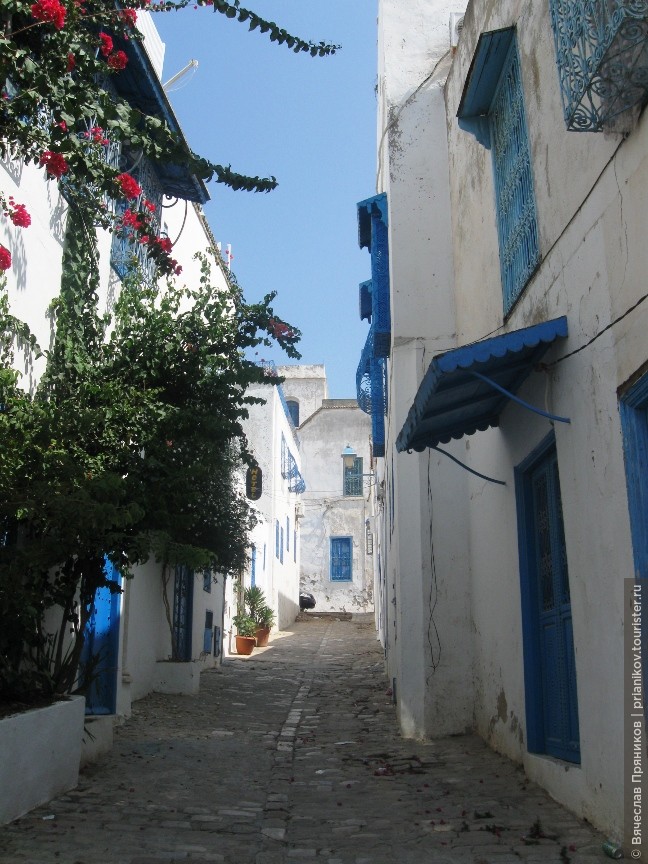 Путешествие в Тунис и в Негреческий Санторини