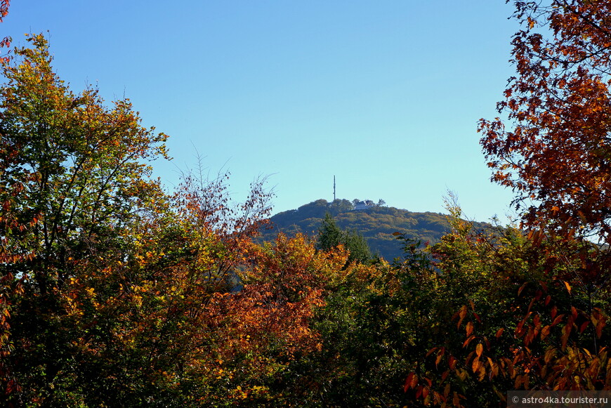 Гора Розенау (323 м.), на вершине которой руины крепости, но разрушенные настолько, что и фотографировать нечего. Зато отличный вид на Ольберг, где только что были.